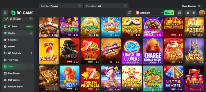 The Rise of BC.Game in France A New Era of Online Gaming 872017083